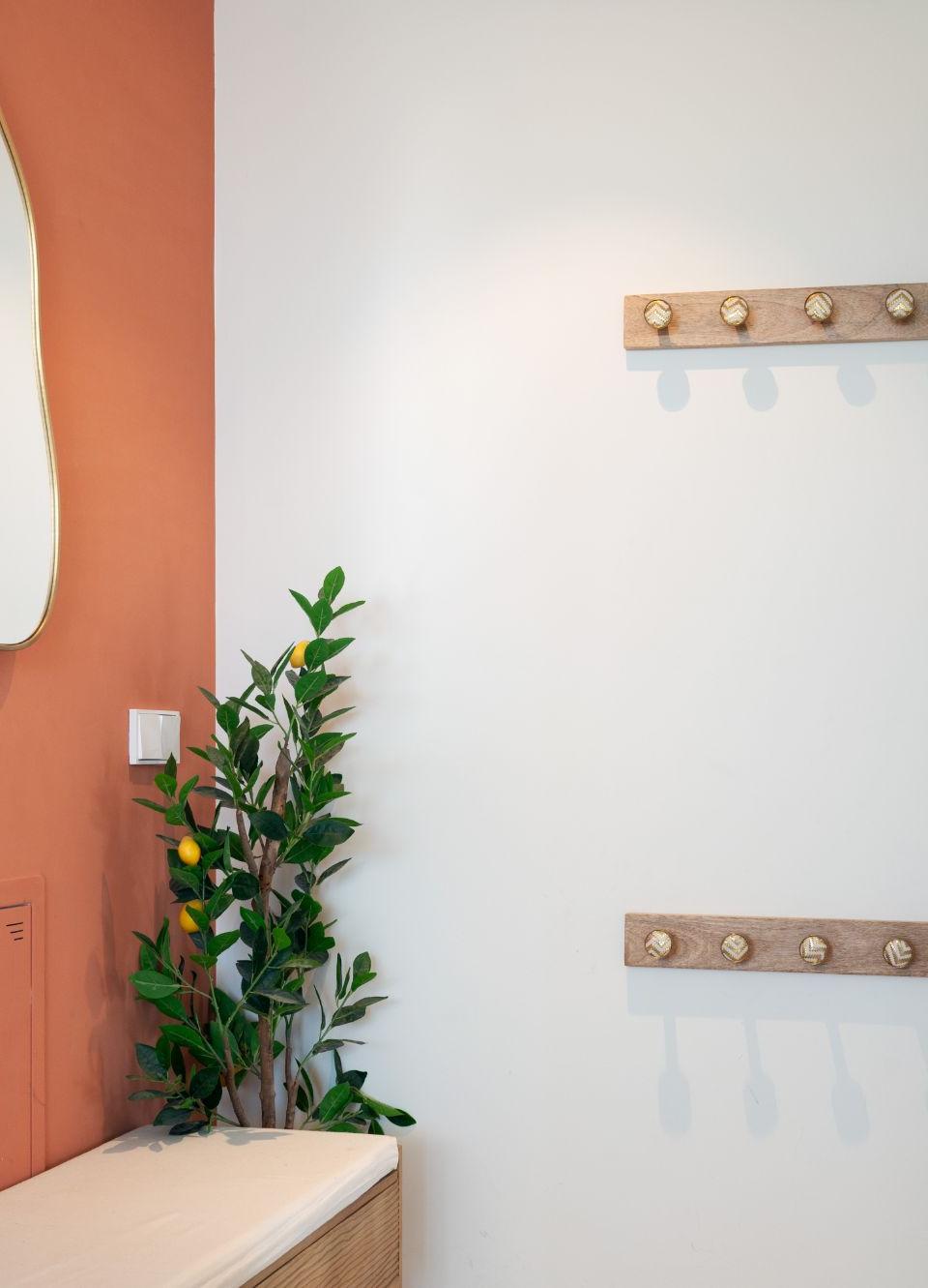 Entrance to the apartment
